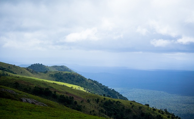 NBA湖人主场获胜，詹姆斯砍下高分