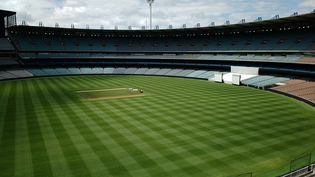 年却因不敌 年却因不敌