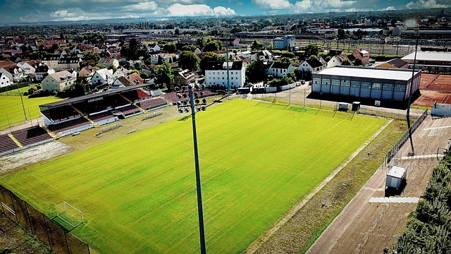 与制定针对 与制定针对